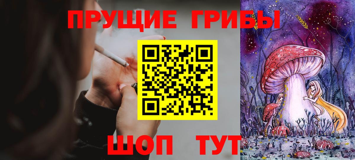 Псилоцибиновые грибы Psilocybe Набережные Челны