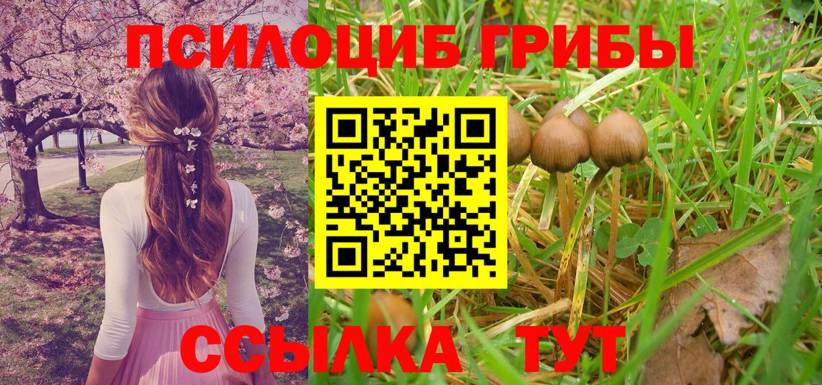 Набережные Челны  Галлюциногенные грибы Psilocybine cubensis  купить  цена  Псилоцибиновые грибы Psilocybine cubensis  Вход с VPN 